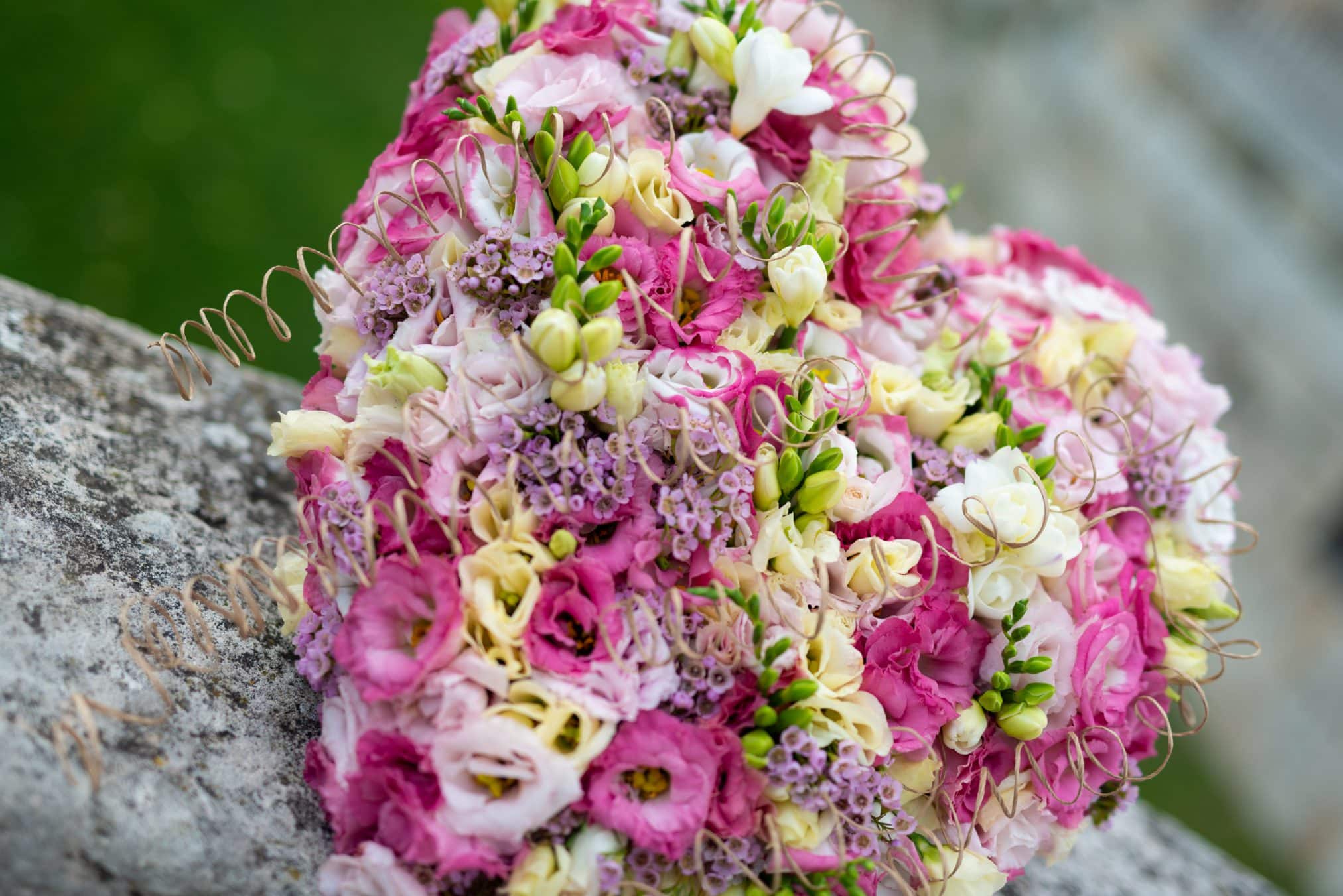 Lisianthus-Eustoma-Flower-White-Arrangement-Bouquet-Decoration-Pink-White-People-Valentine