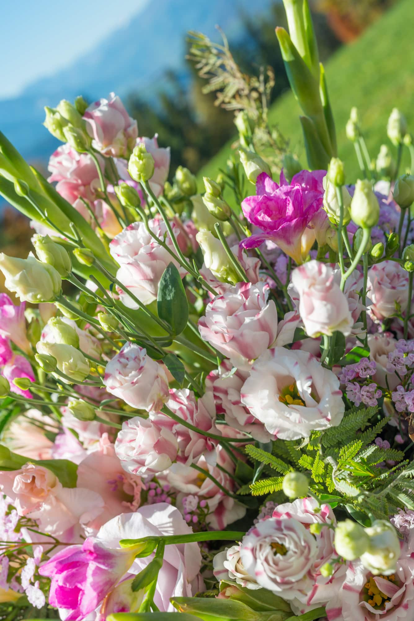 Lisianthus-Eustoma-Flower-White-Arrangement-Bouquet-Decoration-Pink-White-Blue-Green-Red-Colour-Salmon-Summer